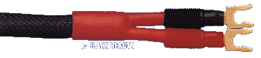 K-Black Beauty