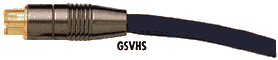 GSVHS